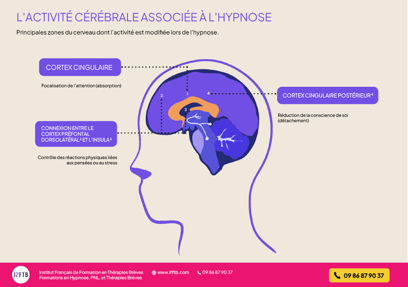 activité cérébrale hypnose